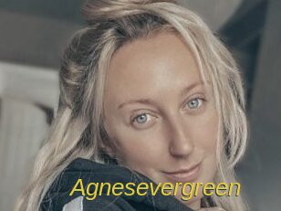 Agnesevergreen