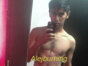 Alejburning