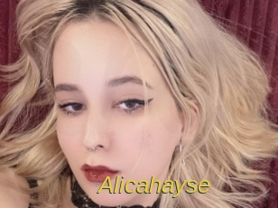 Alicahayse