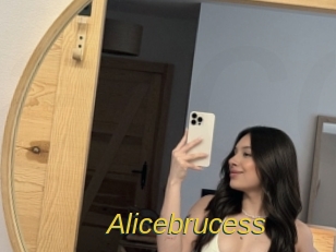 alicebrucess Archive DVD ORG
