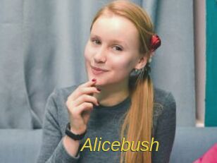 Alicebush