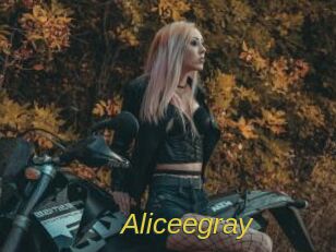 Aliceegray