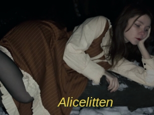 alicelitten Archive DVD ORG