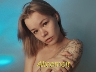 alicemelt Archive DVD ORG