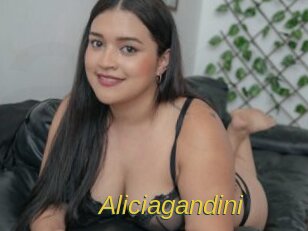 Aliciagandini