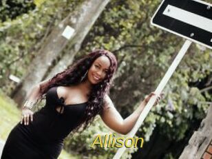 allison Archive DVD ORG