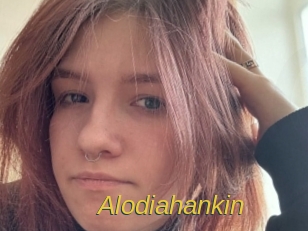 Alodiahankin