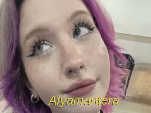 alyamantera Archive DVD ORG
