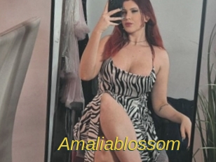 amaliablossom Archive DVD ORG