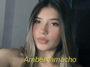 ambercamacho Archive DVD ORG