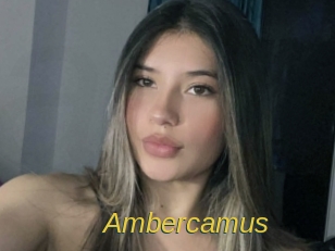 ambercamus Archive DVD ORG