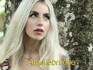 Ameliebriidge