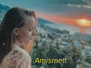 Amismett