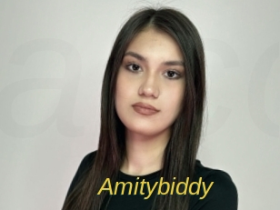 amitybiddy Archive DVD ORG