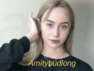 amitybudlong Archive DVD ORG