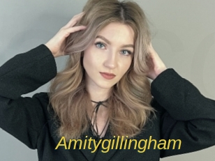 amitygillingham Archive DVD ORG