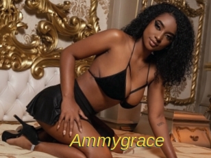 ammygrace Archive DVD ORG