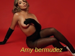 Amy_bermudez
