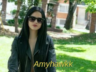 Amyhawkk