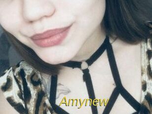 amynew Archive DVD ORG