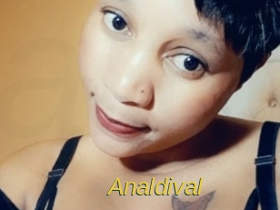 analdival Archive DVD ORG