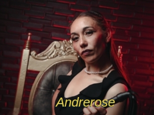 andrerose Archive DVD ORG