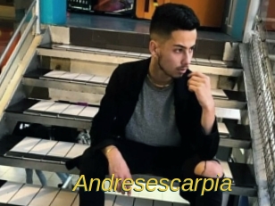 Andresescarpia