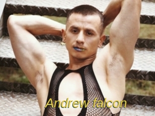 Andrew_falcon