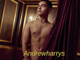 andrewharrys Archive DVD ORG