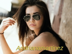 Andrianamartinez