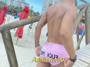 andruwfox Archive DVD ORG