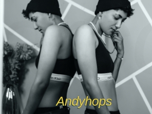 Andyhops