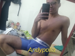 Andypolla