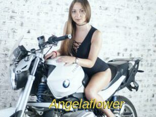 angelaflower Archive DVD ORG