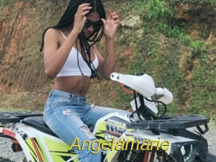 angelamarie Archive DVD ORG