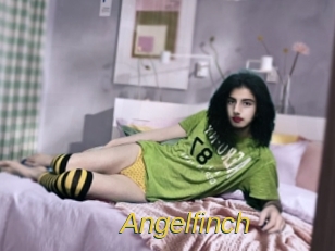 Angelfinch