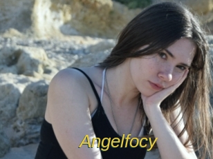 angelfocy Archive DVD ORG
