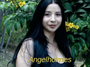 Angelholmes