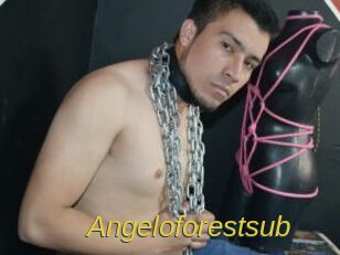 Angeloforestsub