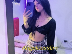 angelousslim Archive DVD ORG