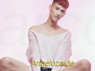 angelozaide Archive DVD ORG