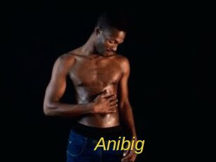 Anibig