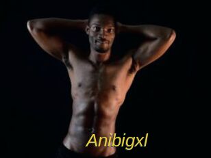 Anibigxl