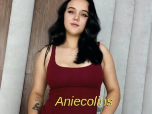 Aniecolins