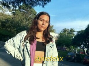 Aniefelix