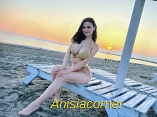 Anisiacorner