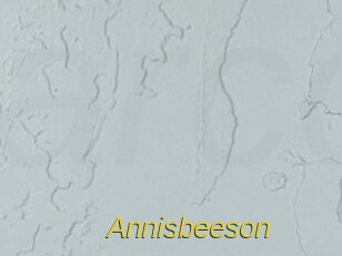 Annisbeeson