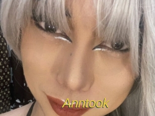 Anntook