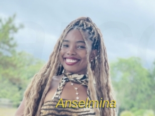 anselmina Archive DVD ORG