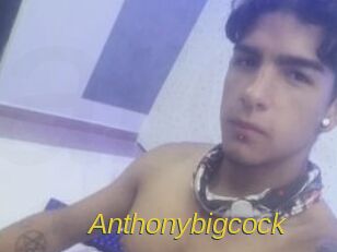 Anthonybigcock